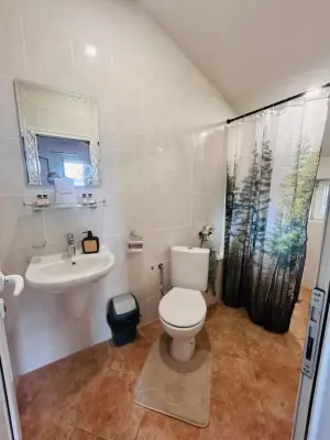 Complete bathroom with sink, toilet and forest shower curtain