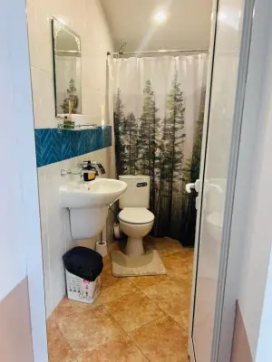 Compact bathroom with blue accent tiles and forest curtain